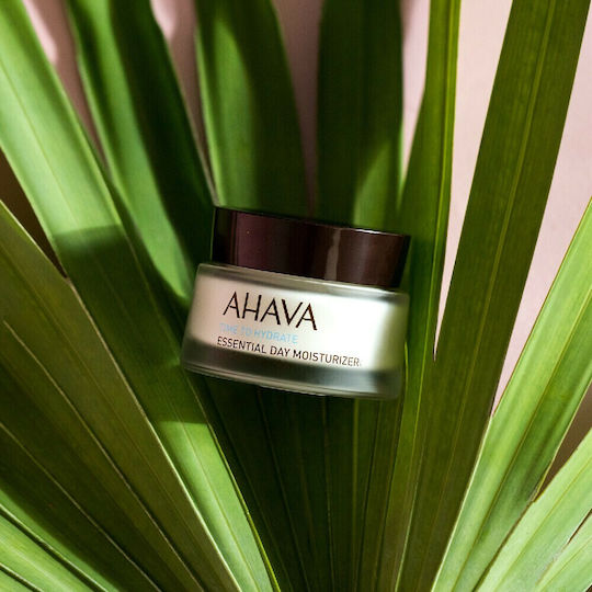 Ahava Time to Hydrate Cream Day for Combination Skin with Aloe Vera 50ml