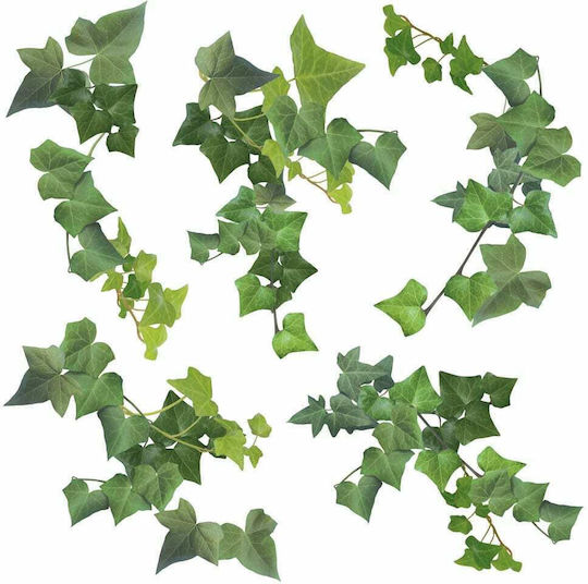 Decorative Sticker Wall Ivy Vinyl 1pcs Ango
