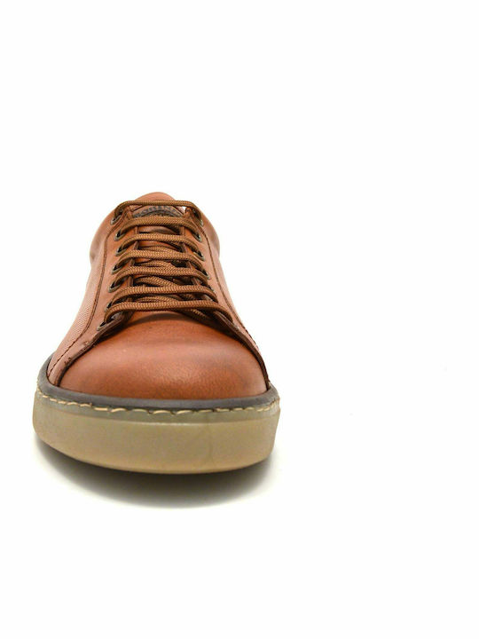 Taba Sneakers Tabac Brown