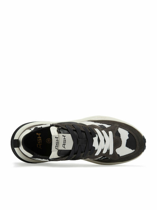 Spider 620-01 Sneakers Multicolour