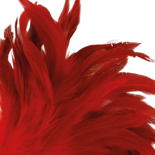 Darkness Φτερό για Γαργάλημα Feather 24cm Red