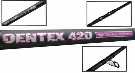 Oceanic Dentex Angelrute für Schwere Guss 4.20m mit Rolle 300gr