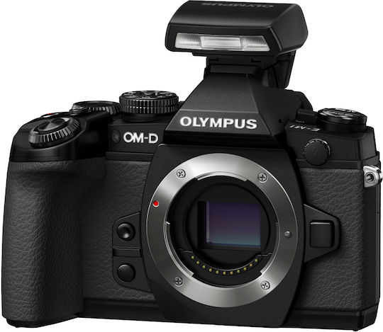 Olympus FL-LM2 Flash TTL Pentru Olympus Camere Foto