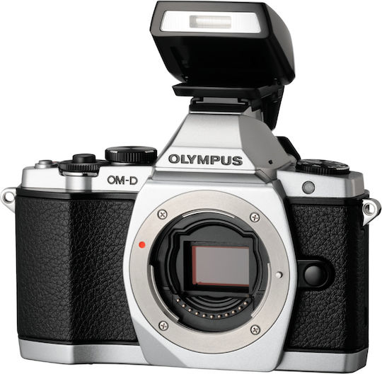 Olympus FL-LM2 Flash TTL Pentru Olympus Camere Foto