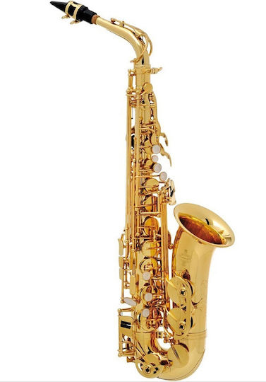 Buffet Alto 8101 Alto Saxophone