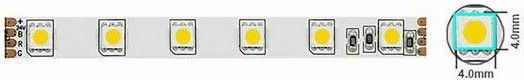 Vito LED Strip 12V Warm White Light 5m Type SMD5050