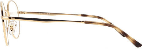 Ray Ban Metallic Gold Frame RB3681V 2500
