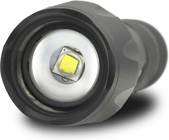 everActive Taschenlampe LED IPX4 mit maximaler Helligkeit 600lm Schwarz