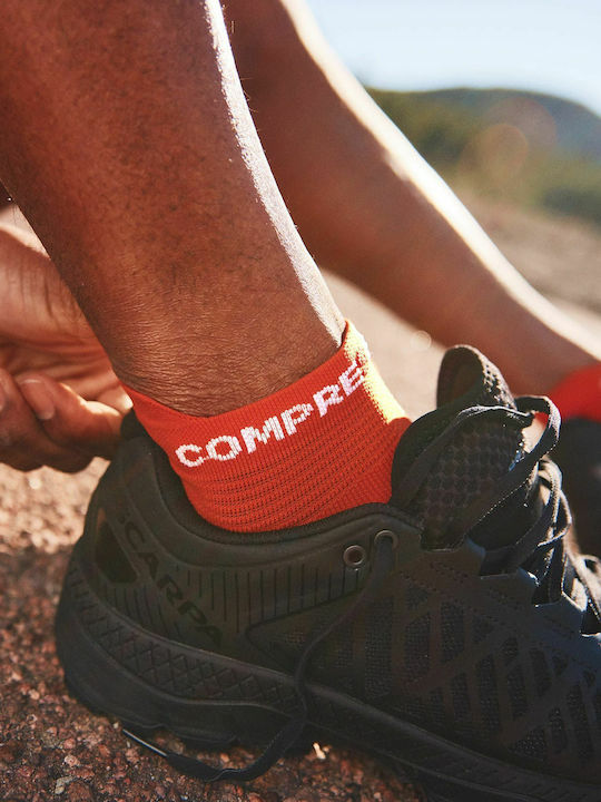 Compressport Pro Racing V4.0 Low Running Κάλτσες Πορτοκαλί 1 Ζεύγος