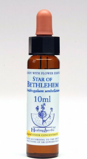 Healing Herbs Star of Bethlehem Ανθοΐαμα σε Σταγόνες για Χαλάρωση 10ml