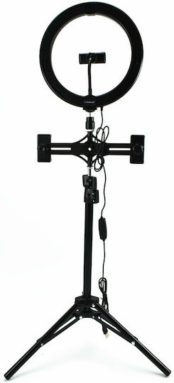 Puluz Ringlicht 26cm 3200 - 6500K mit Bodenstativ und Handyhalter