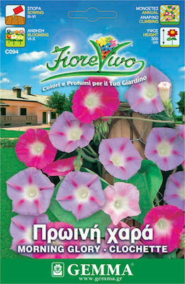 Gemma Seeds Ipomoea 2gr/70pcs Polychrome