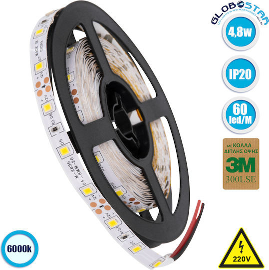 GloboStar LED Strip Avila 12V Cold White Light 5m Type SMD3528