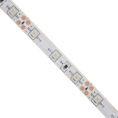 GloboStar Avila LED Strip Power Supply 12V with Blue Light Length 5m and 60 LEDs per Meter SMD3528