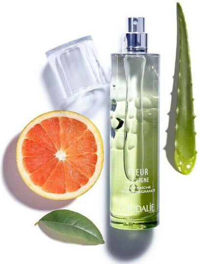 Caudalie Fleur de Vigne Eau Fraiche 50ml | Skroutz Romania