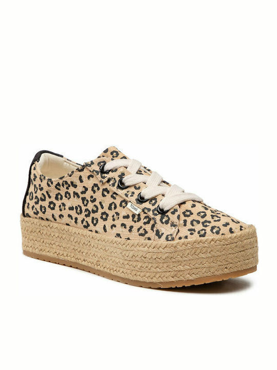 Toms