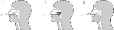 Abbott Panbio COVID-19 Ag Device (Nasopharyngeal) Antigen Rapid Test with Nasal Sample 25pcs
