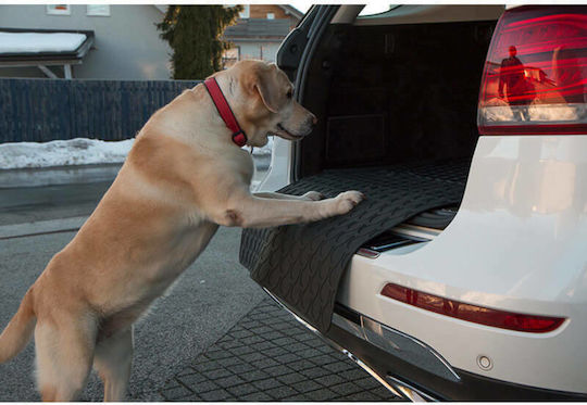 Auto Gs Trunk Cover Car for Dog 75x65cm Small Black