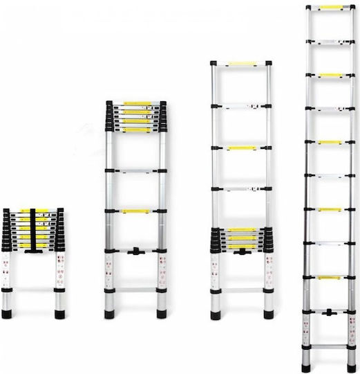 Telescopic Ladder Aluminum 10 of Steps with Maximum Height 2.9m T-153