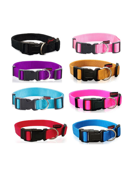 Pet Interest Dog Collar Fluorescent Blue Medium 20mm x 32 - 50cm