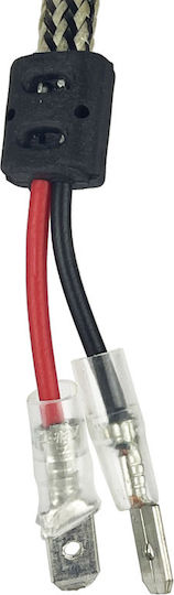 Carner Lamps Car H3 C12 5500lm LED 6000K Cold White 12-24V 36W 2pcs