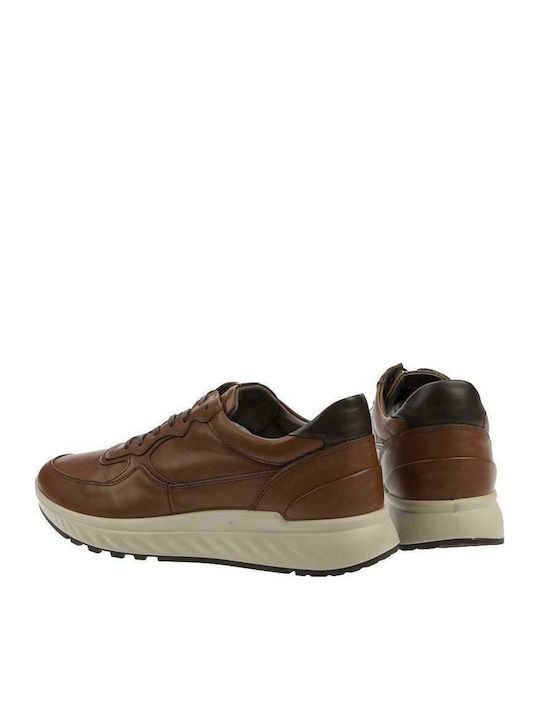 Anatomical Sneakers Tabac Brown