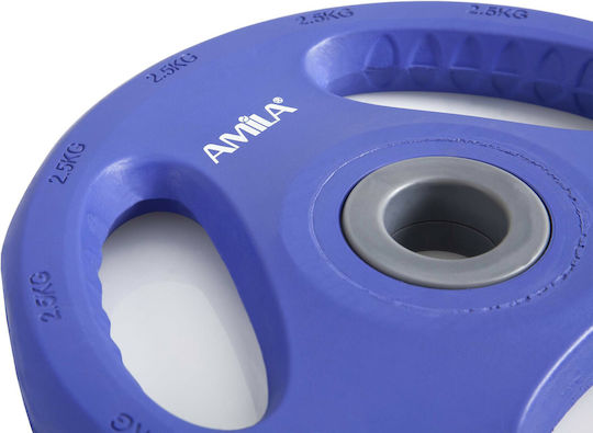 AMILA Pump Rubber Set of Plates Rubber 1 x 2.5kg Ø28mm with Handles