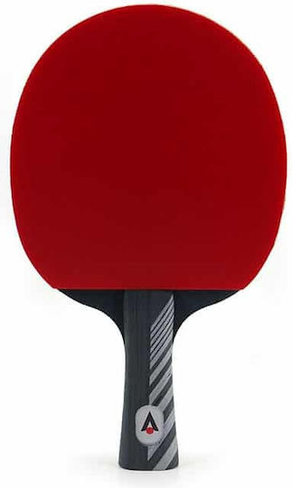 KTT 500 Ping Pong Racket for Advanced Players