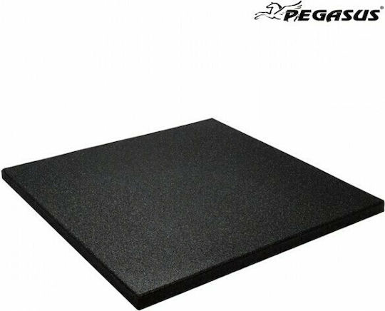 Pegasus Rubber Gym Exercise Equipment Floor Mat Black 100x100x2cm