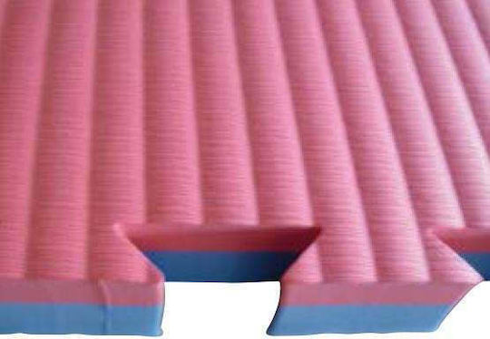 AMILA Double Sided EVA Gym Floor Puzzle Tatami Mat Multicolour 100x100x2.5cm
