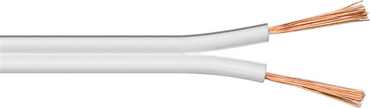 Powertech Kabel Unterminiert 10m (CAB-SP023) 1Stück