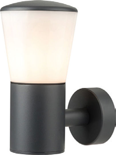 Aca Cyclea Gray Lantern