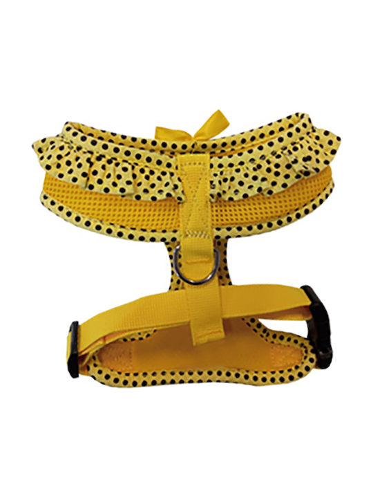 Pet Interest Polka Dots Pet Interest Polka Dots
