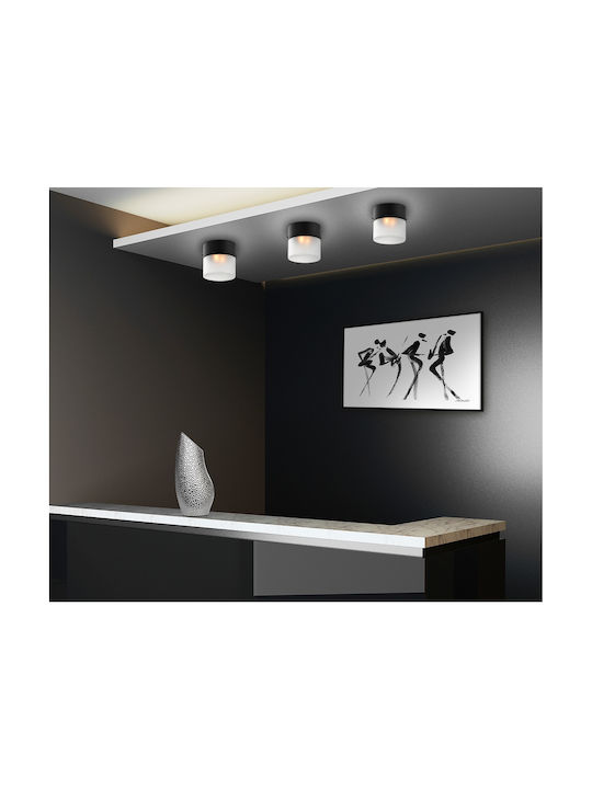 Luma Modern Glass Ceiling Light with Socket G9 10pcs Black