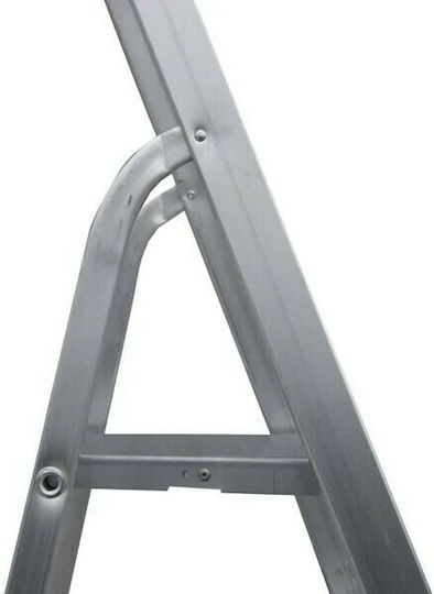 Profal Eco Ladder Aluminum with 3+1 Steps 135cm