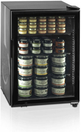 Tefcold Getränkekühlschrank Bier Subzero 22lt Einzeltür H75xB54.5xT54.2cm