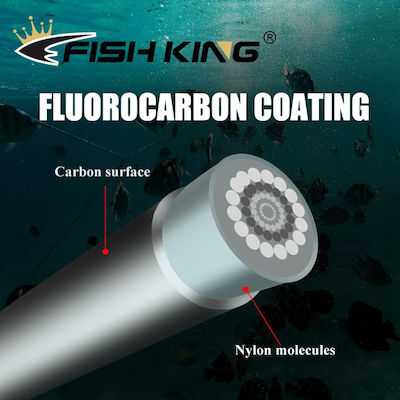 Fluorocarbon Fishing Line Transparent 100m / 0.35mm / 9.7kg