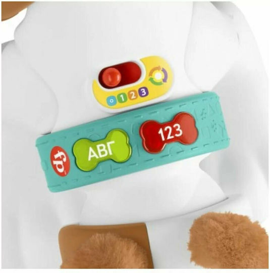 Fisher Price Ζωάκι Σκυλάκι Μπουσουλάκι με Φως και Ήχους για 6+ Μηνών