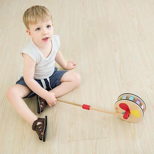 Classic World Pull-Along Toy Push Rainbow Wheel made of Wood with Sounds for 12++ Months