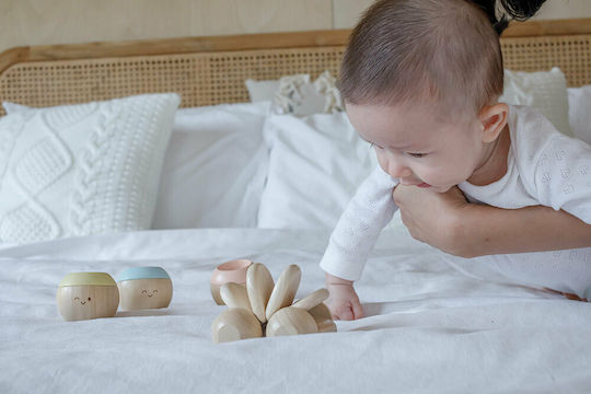 Plan Toys Push Along Baby Car made of Wood for 0++ Months