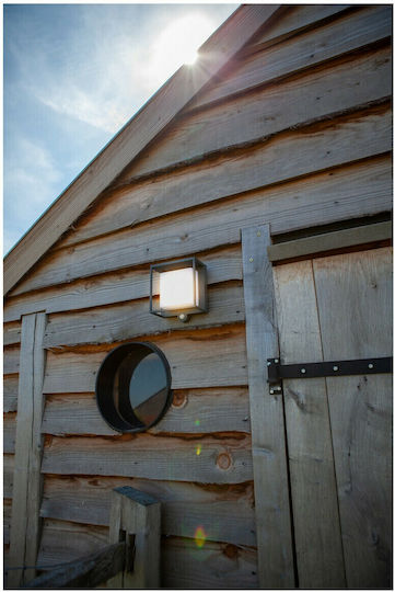 Lutec Curtis Wall Mounted Solar Light 3W 300lm Warm White 3000K with Motion Sensor and Photocell IP54 19cmx16.5cmx95cmcm