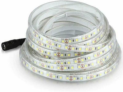 V-TAC Waterproof LED Strip Power Supply 12V with Cold White Light Length 5m and 120 LEDs per Meter SMD3528