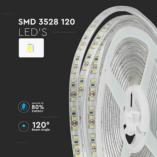 V-TAC Αδιάβροχη Ταινία LED 12V Ψυχρό Λευκό Φως 5m Τύπου SMD3528