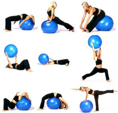 King Lion Pilates Ball 75cm Blue