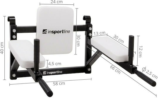inSPORTline Wandmontierte Dip-Station LCR-11114B Monozugo Für Benutzer Bis 150kg