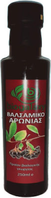 Biogalaxy Oțet balsamic Produs organic cu Aronia 250ml