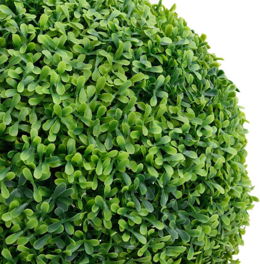 vidaXL Buxus Outdoor Tree Green