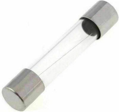 Safety Cylindrical Glass Fast-Bow 5x20mm 2A 1pcs