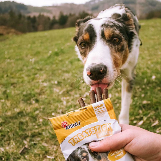 Akinu Treatsticks Rolls Tripe Sticks für Hunde 12Stück 204733