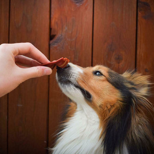 Akinu Baconies Dog Treat with Bacon 85gr 204731